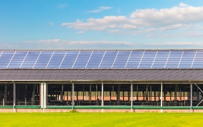 Dairy Farm